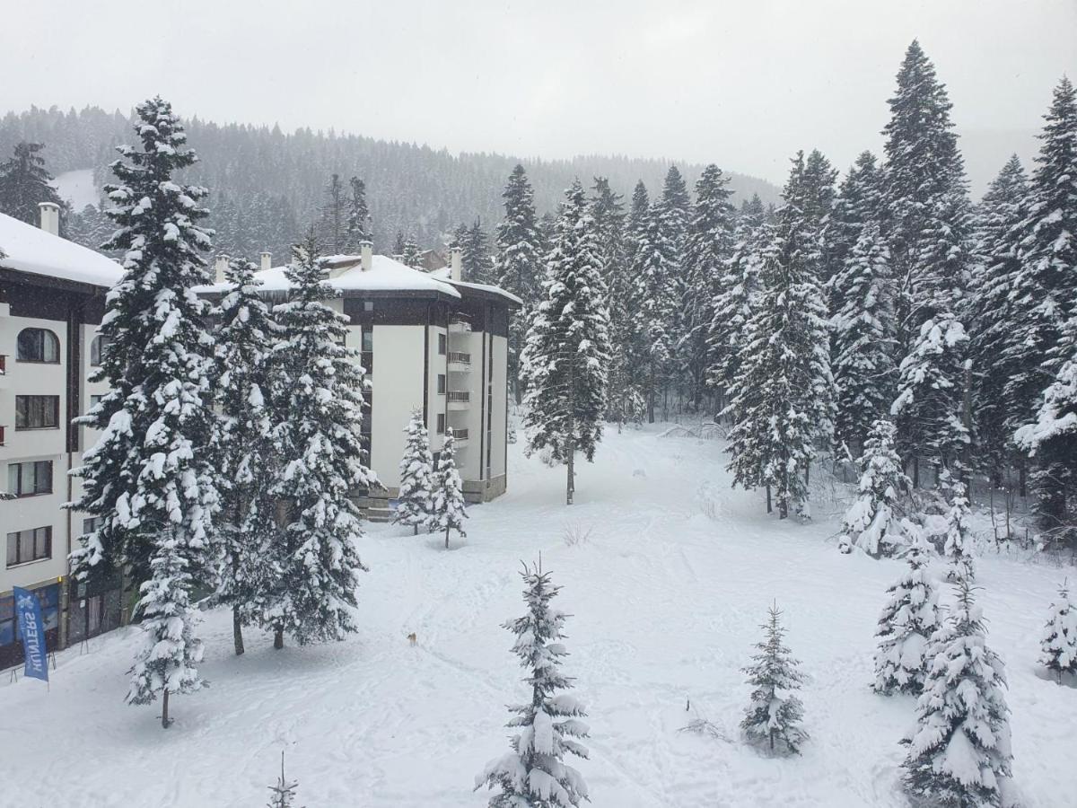 Flora Tmf * Borovets