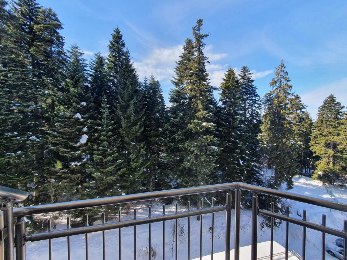 Flora Tmf Borovets