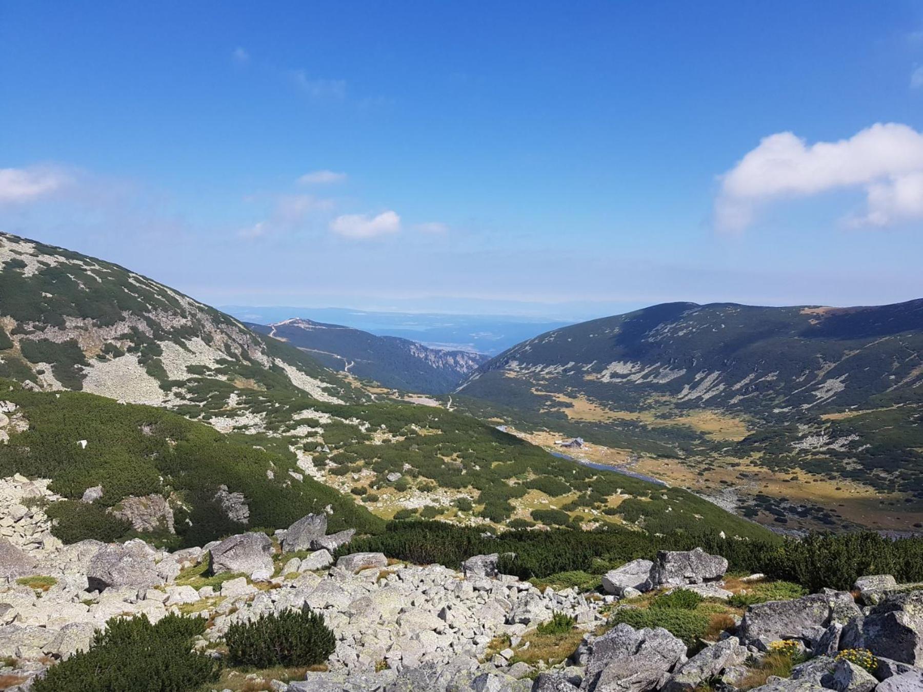 Flora Tmf Apartment Borovets