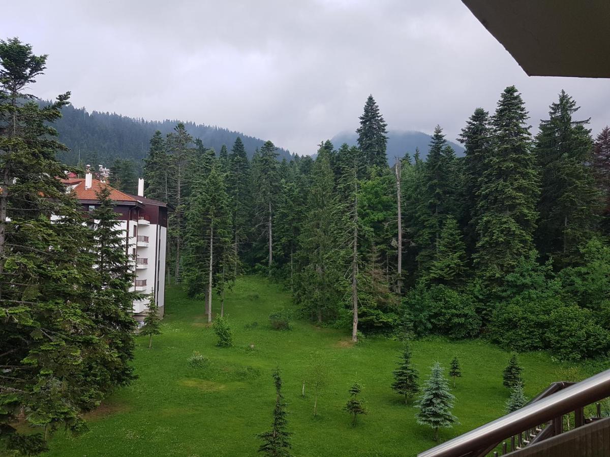 Flora Tmf Borovets