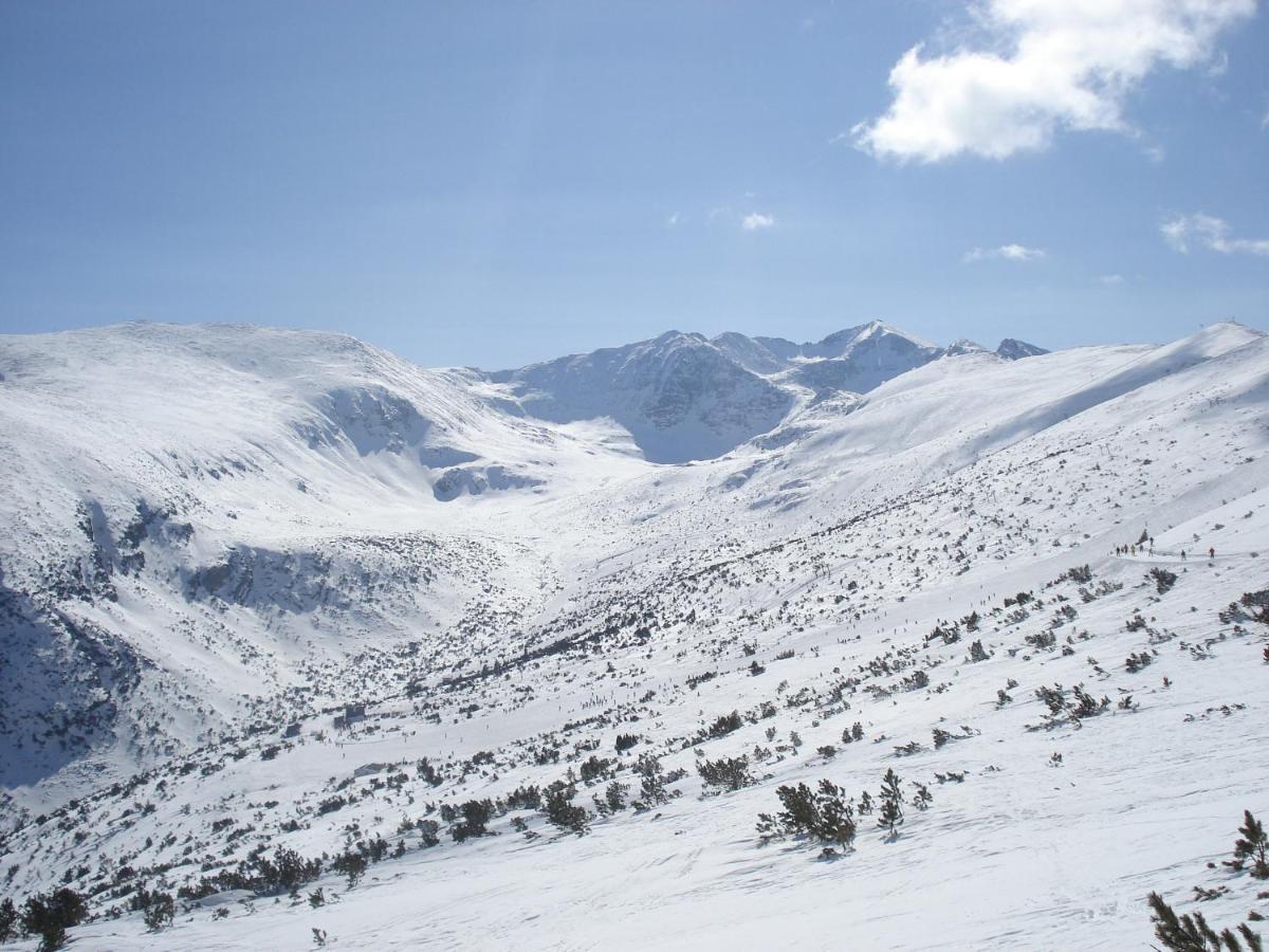 Flora Tmf * Borovets